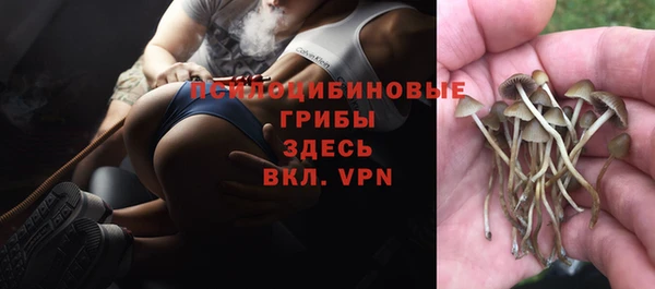 ешки Остров