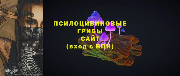 a pvp Осинники