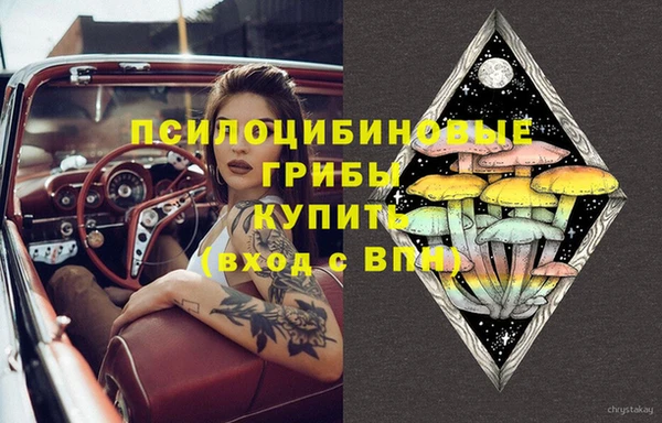 a pvp Осинники