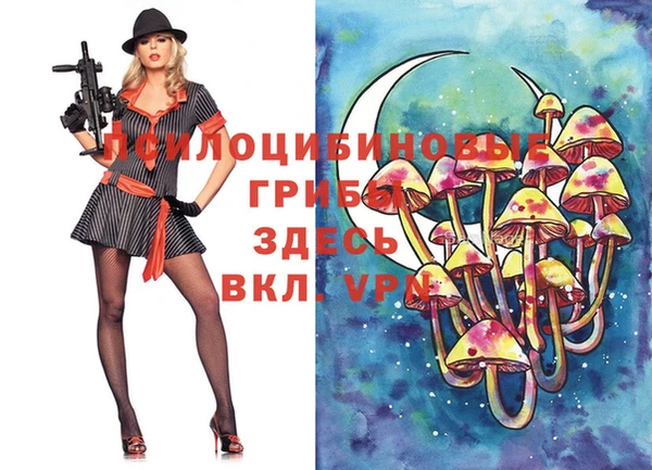 ешки Остров