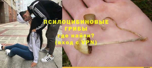 a pvp Осинники